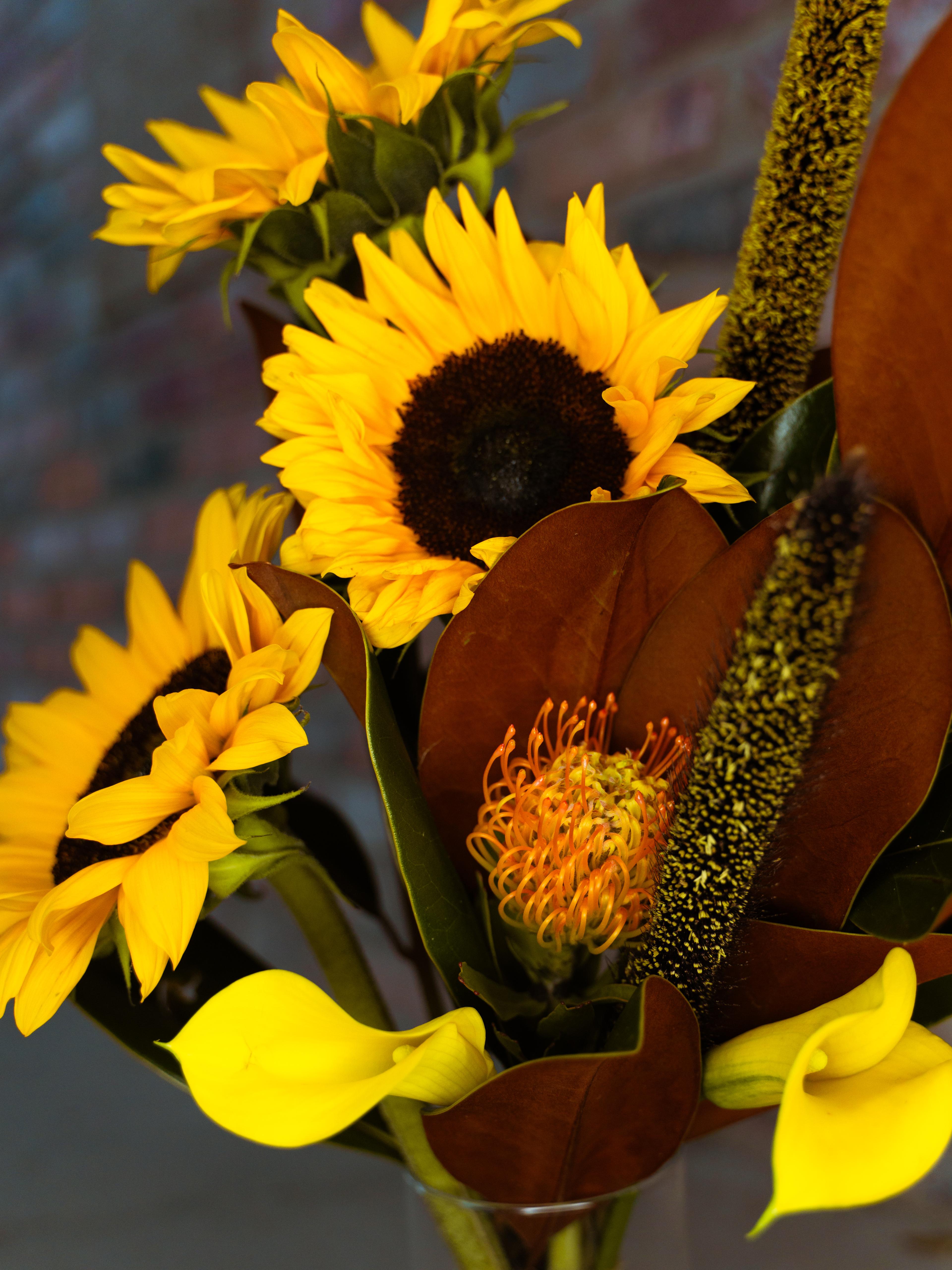 Blooming Sunshine
