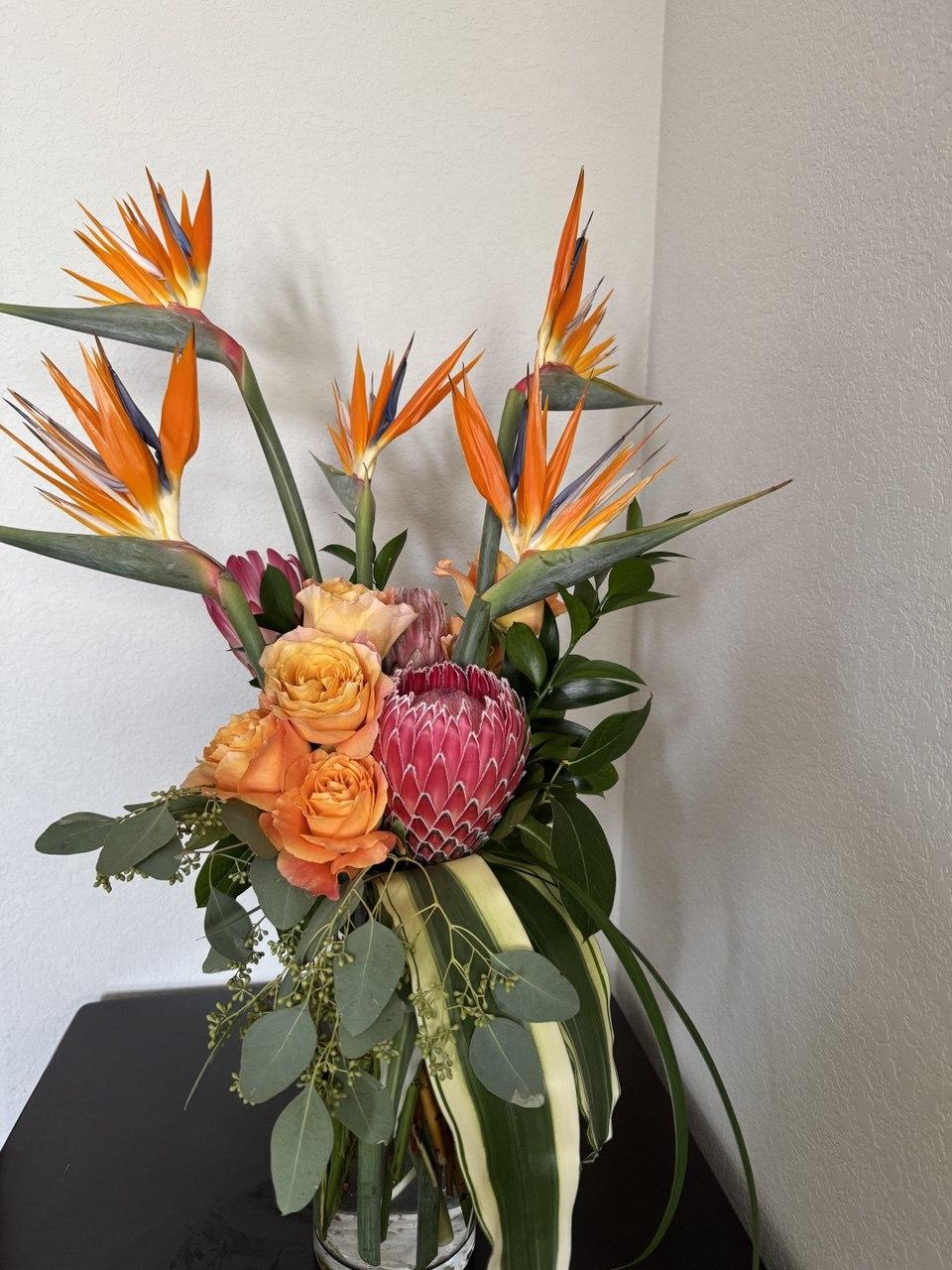 Tropic Protea King