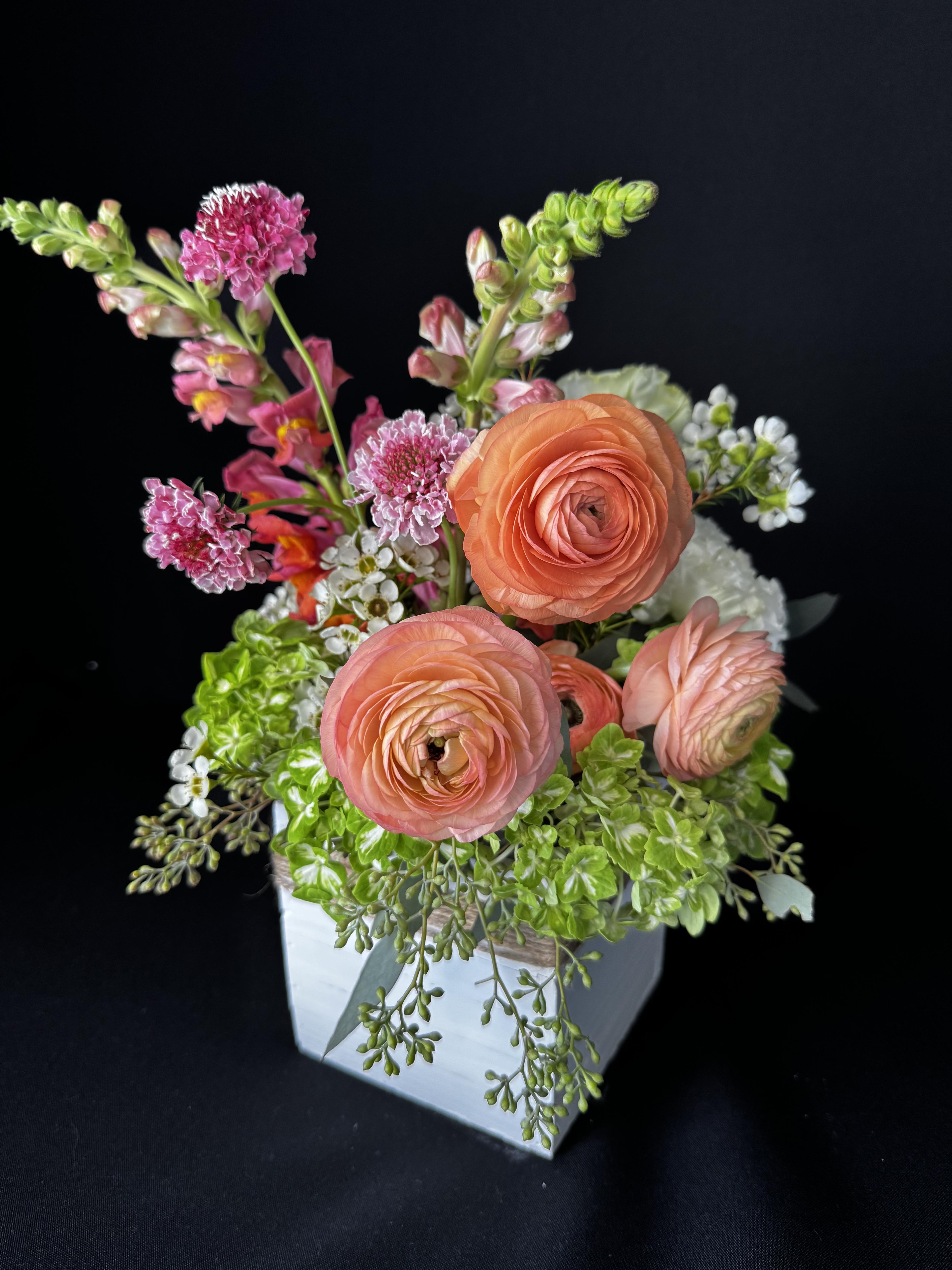 Blush Harmony