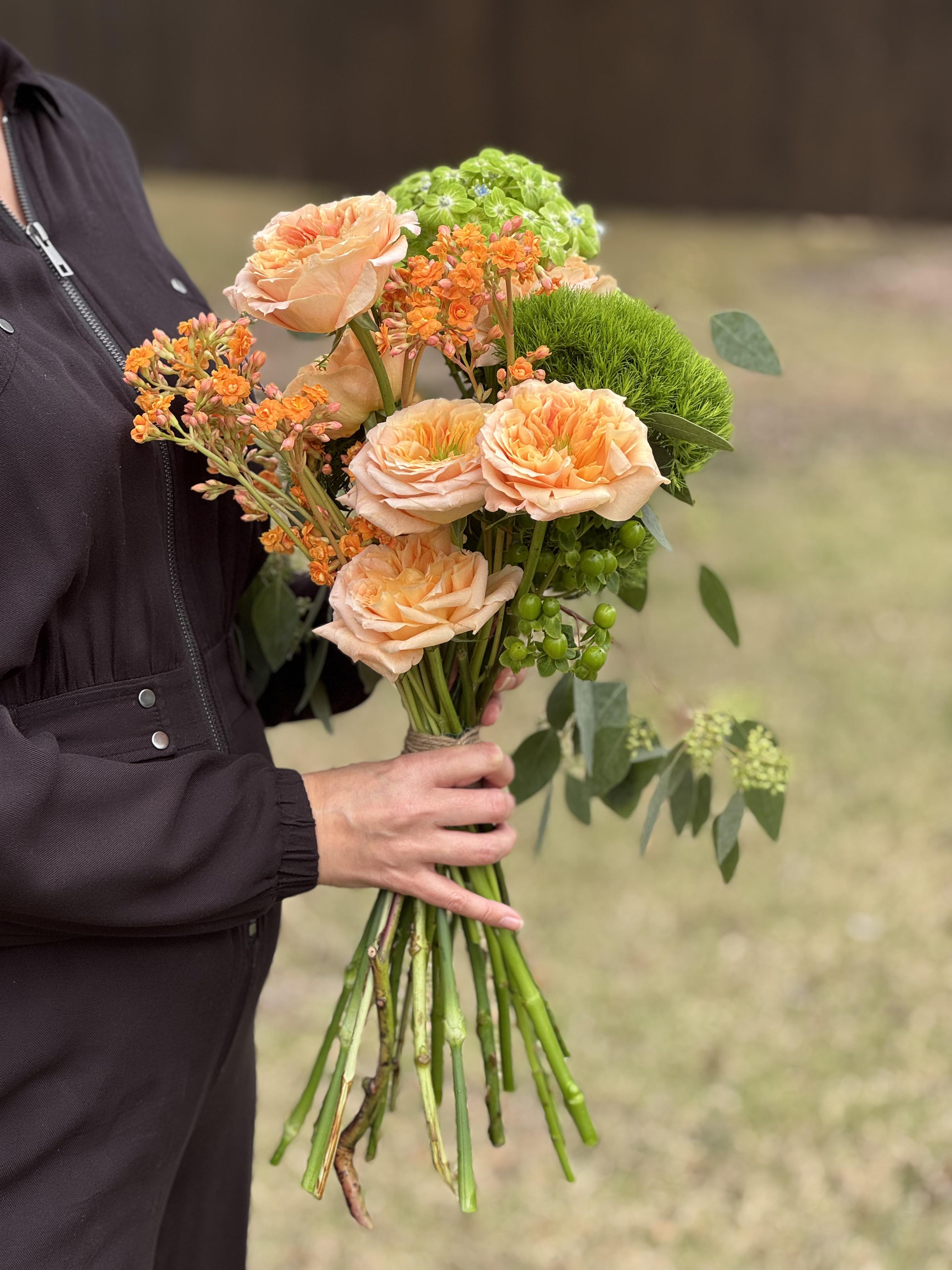 Royal Apricot